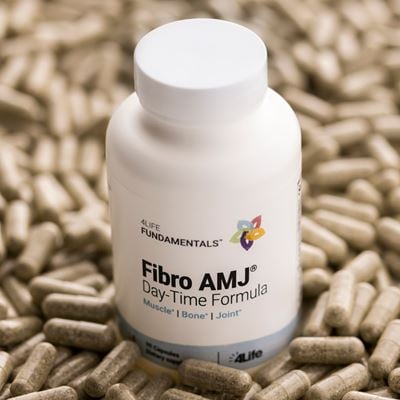 Fibro AMJ Day-Time Formula - 4lifetransferfactors