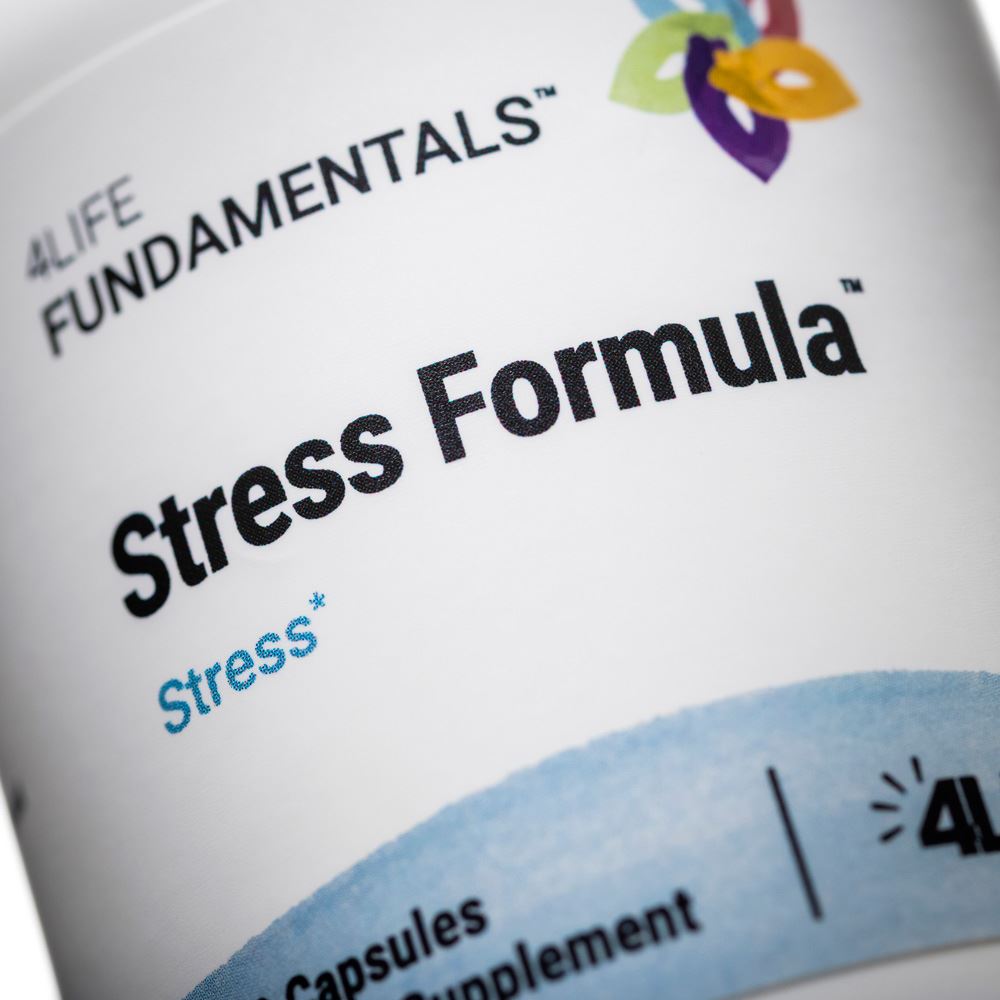 Stress Formula